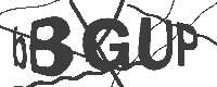 /component/rscomments/captcha?type=formb9478b03887e06f9ce1b164752417218&sid=650e186b31998&Itemid=2846