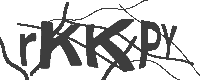 /component/rscomments/captcha?type=form27743d645960690a27b333ae409ccc3d&sid=656750c927fde&Itemid=597