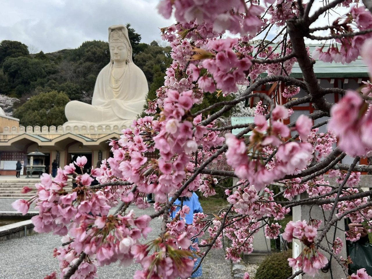 japan_shturman