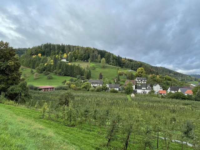 swartswald