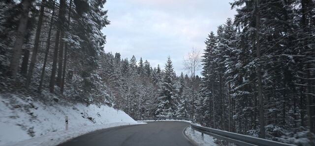 Шварцвальд, Эльзас, Бад Парадайз - с опциями, ВВ